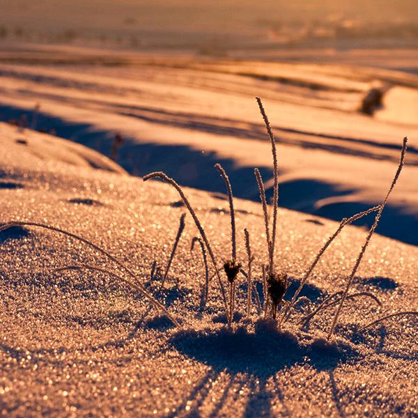 小梅私信俄！？