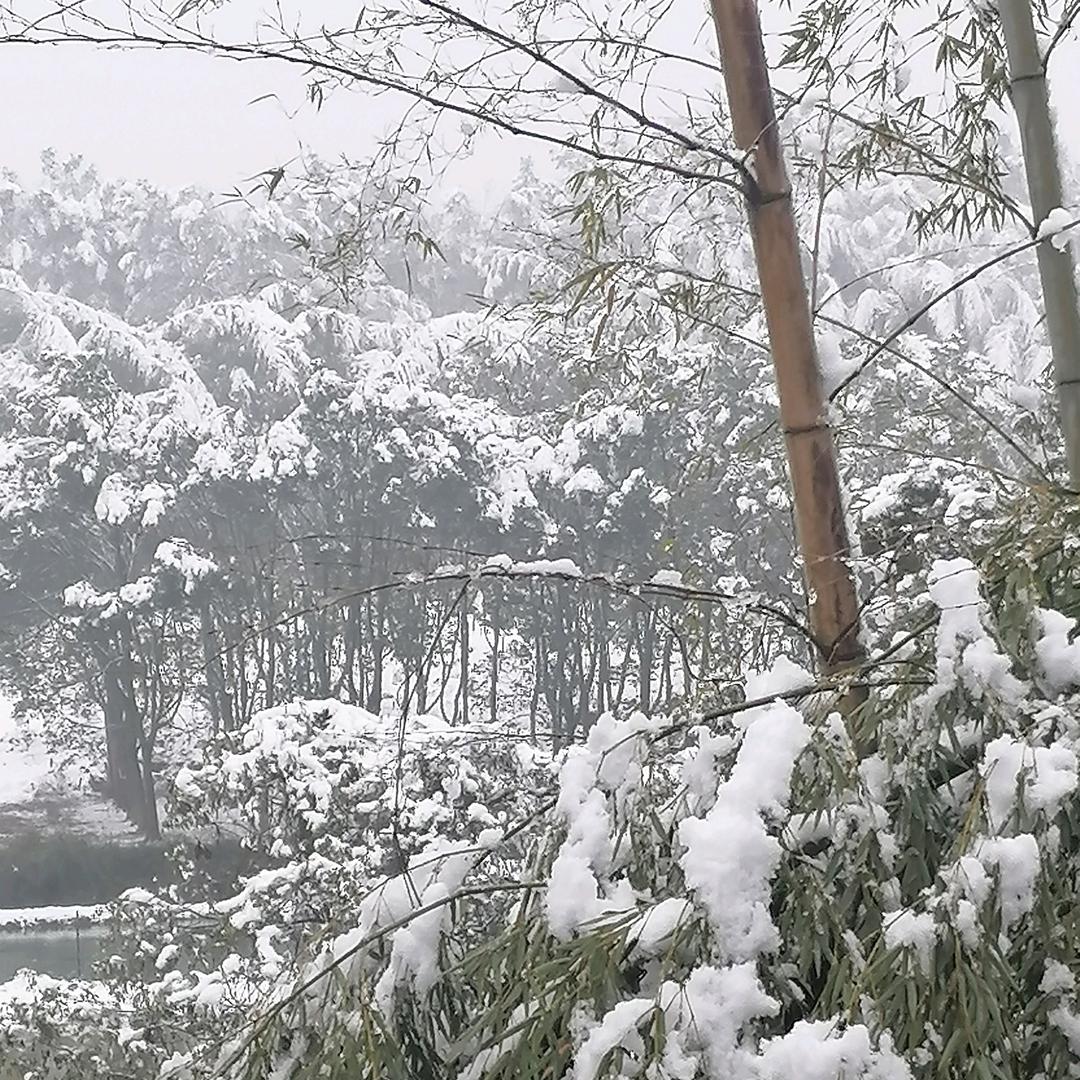 🕊孤影᭄ꦿᩚ٭：