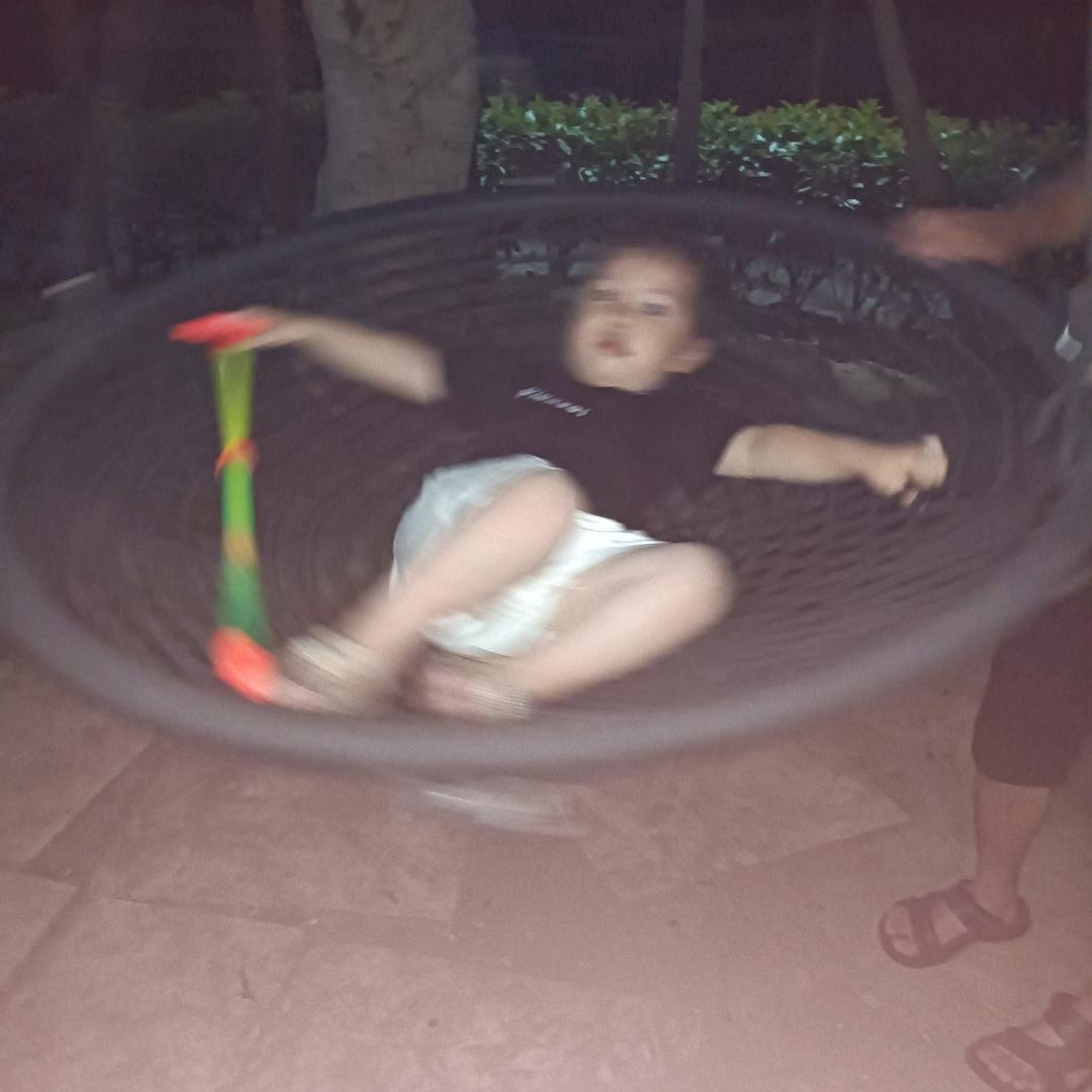 🪷🪻豆豆儿🌈 果果🦋🎄🪸🍀