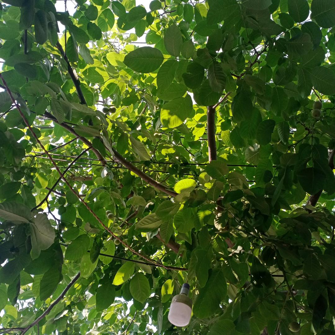 人生的路不好走啊