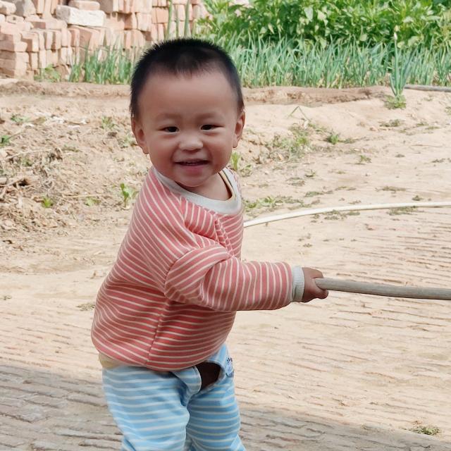 🇨🇳可爱小猪🐖🐒🐏🐑