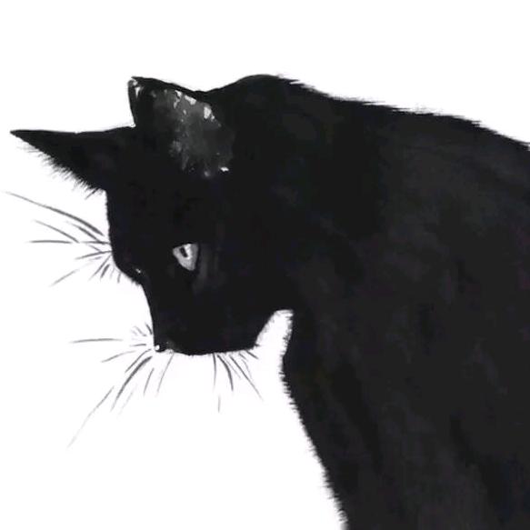 风淋.