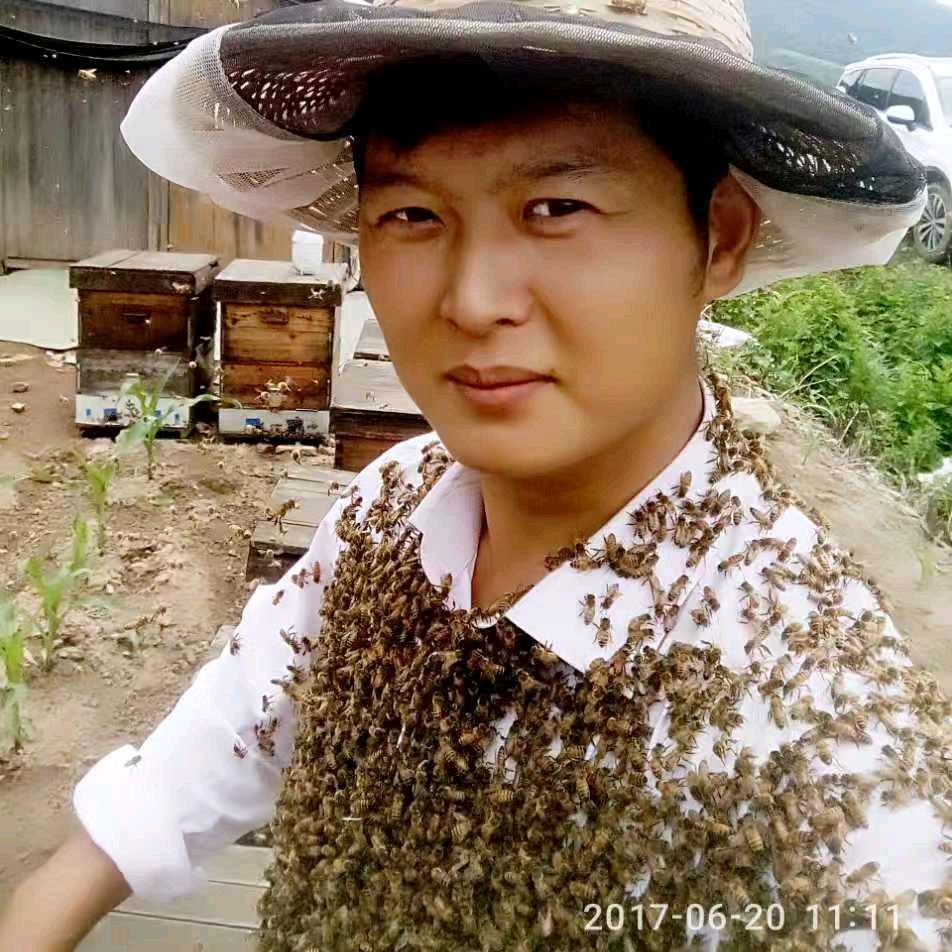 河北德哥