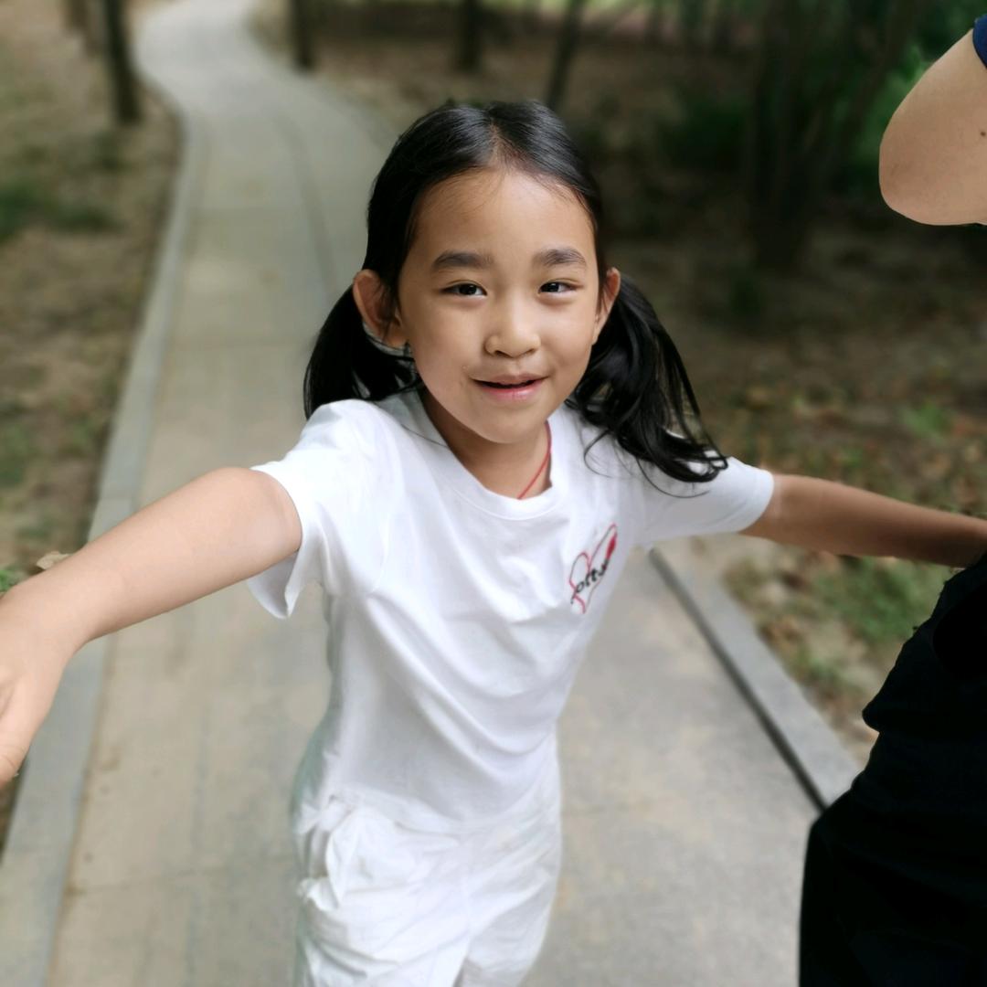 勐海普洱茶批发