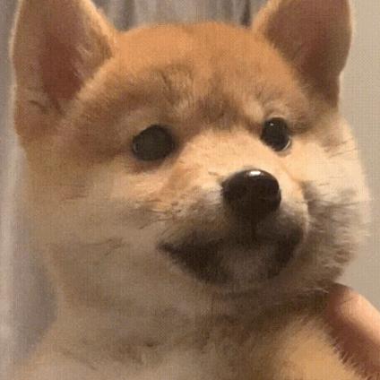 阿伟