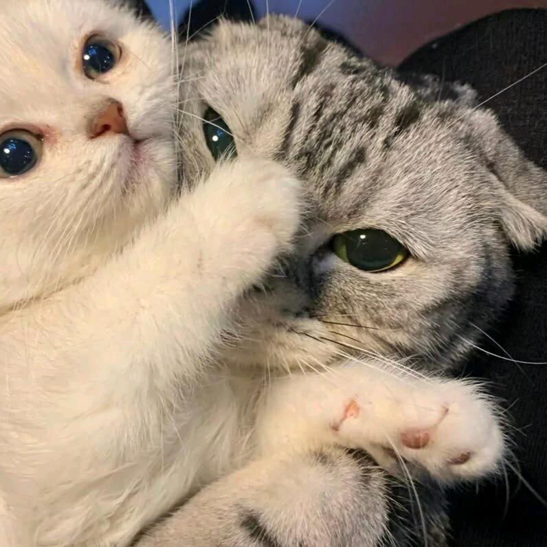 想了好长时间才想到的名字