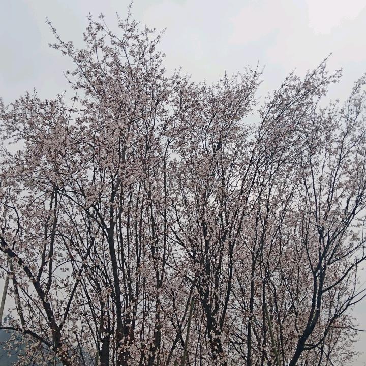 不拼不博等于白活😀😀