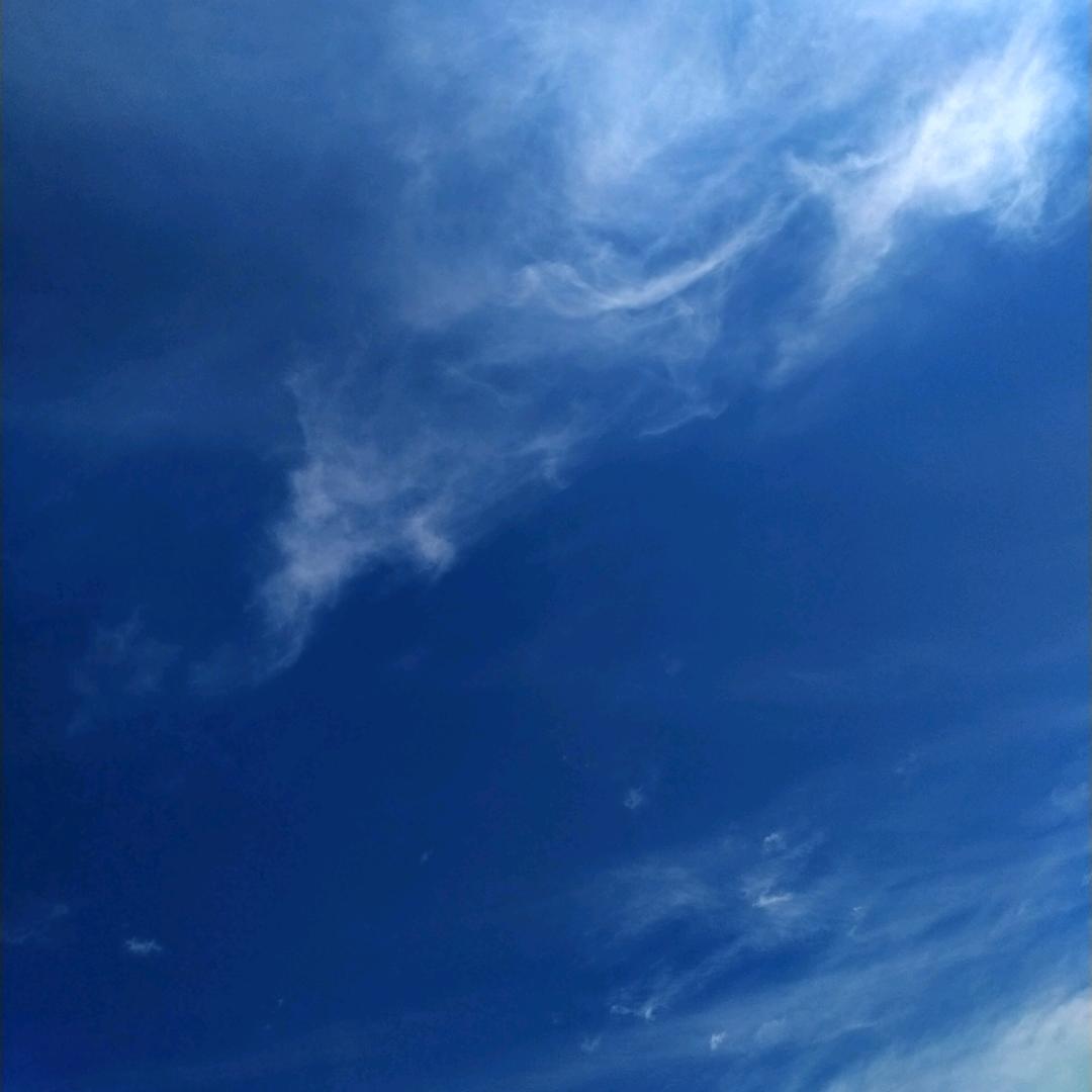 看过古惑仔的他