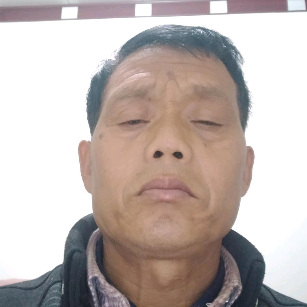 四季平安