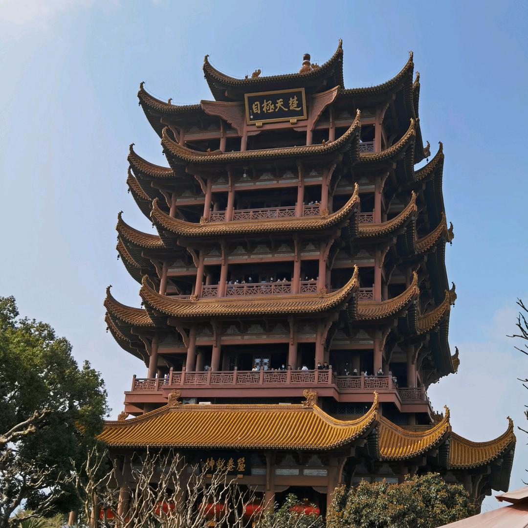 紫来顺秦权紫砂