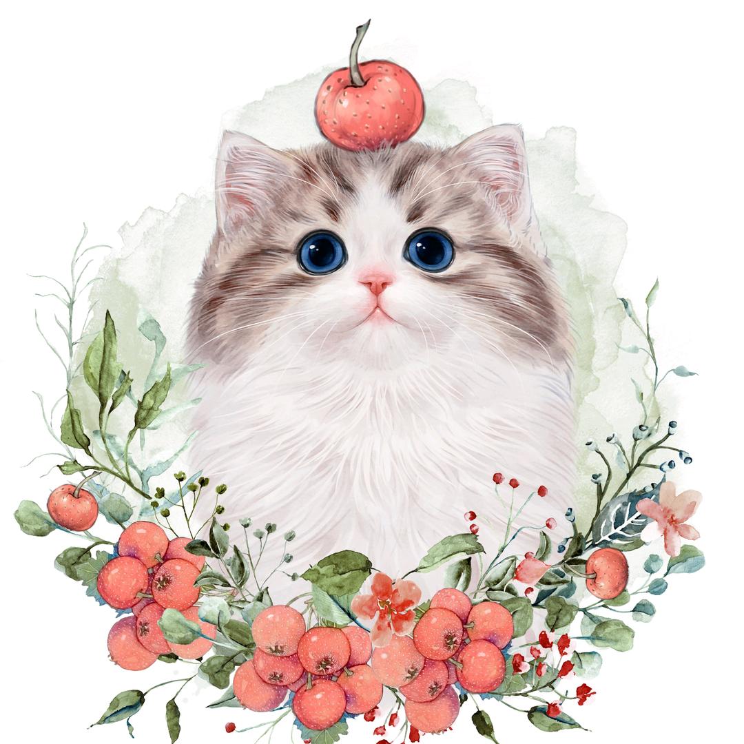 山楂猫舍