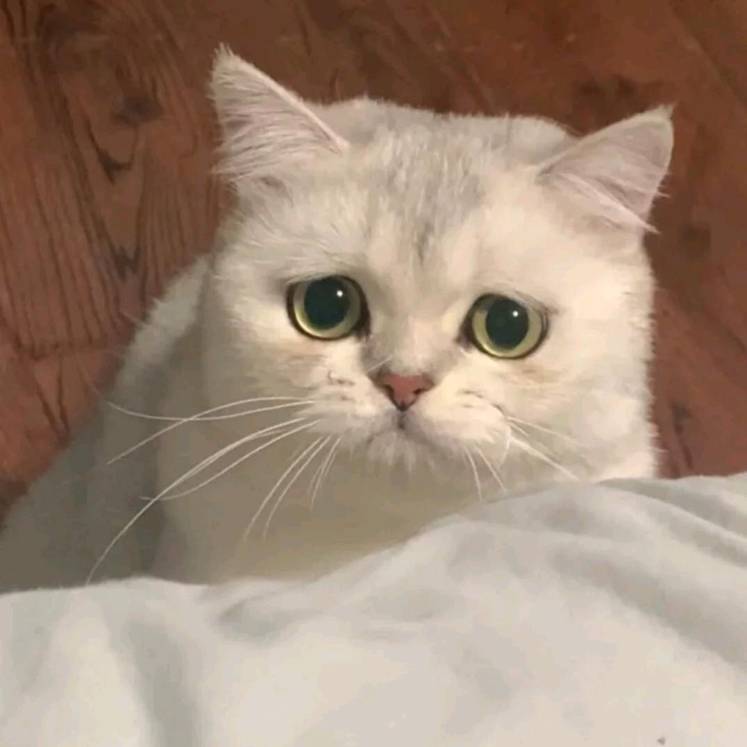霧