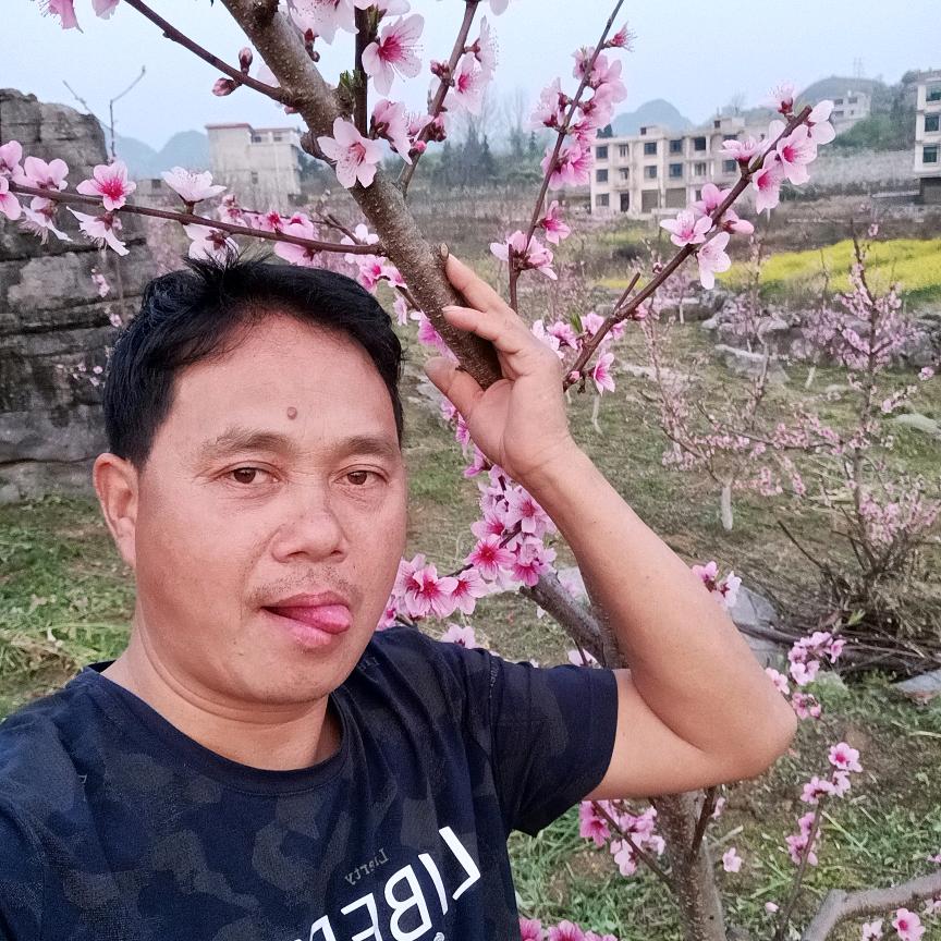 贵州桃子哥（小号）