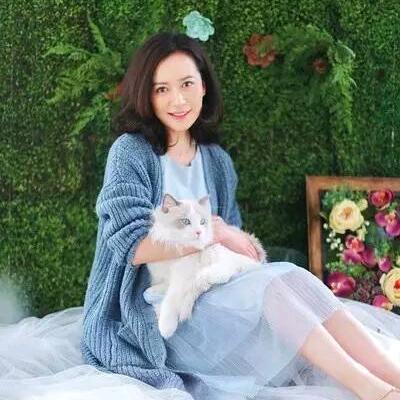 婉若清风
