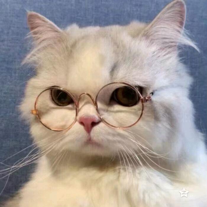 倔酱的打工人