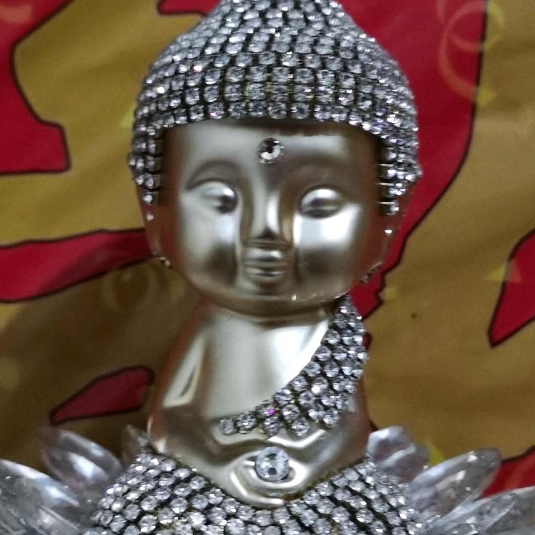 yan艳（洋洋）