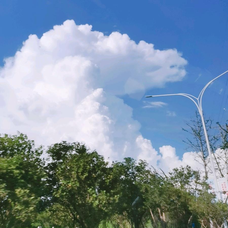 .鲤鱼