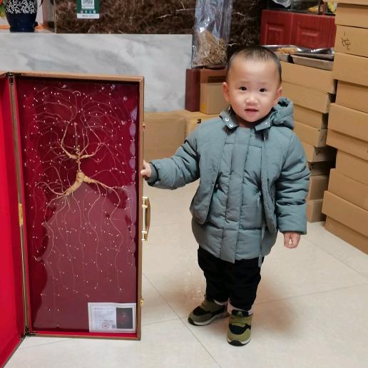 东北🍁辉哥🏃