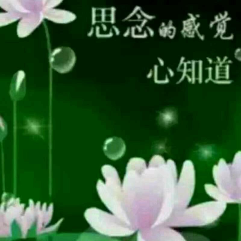 真心真意