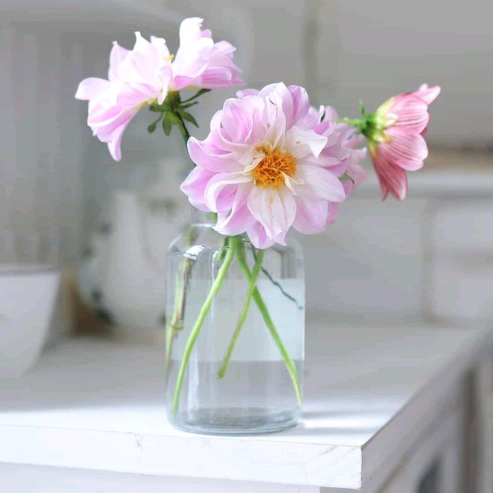 H.Y