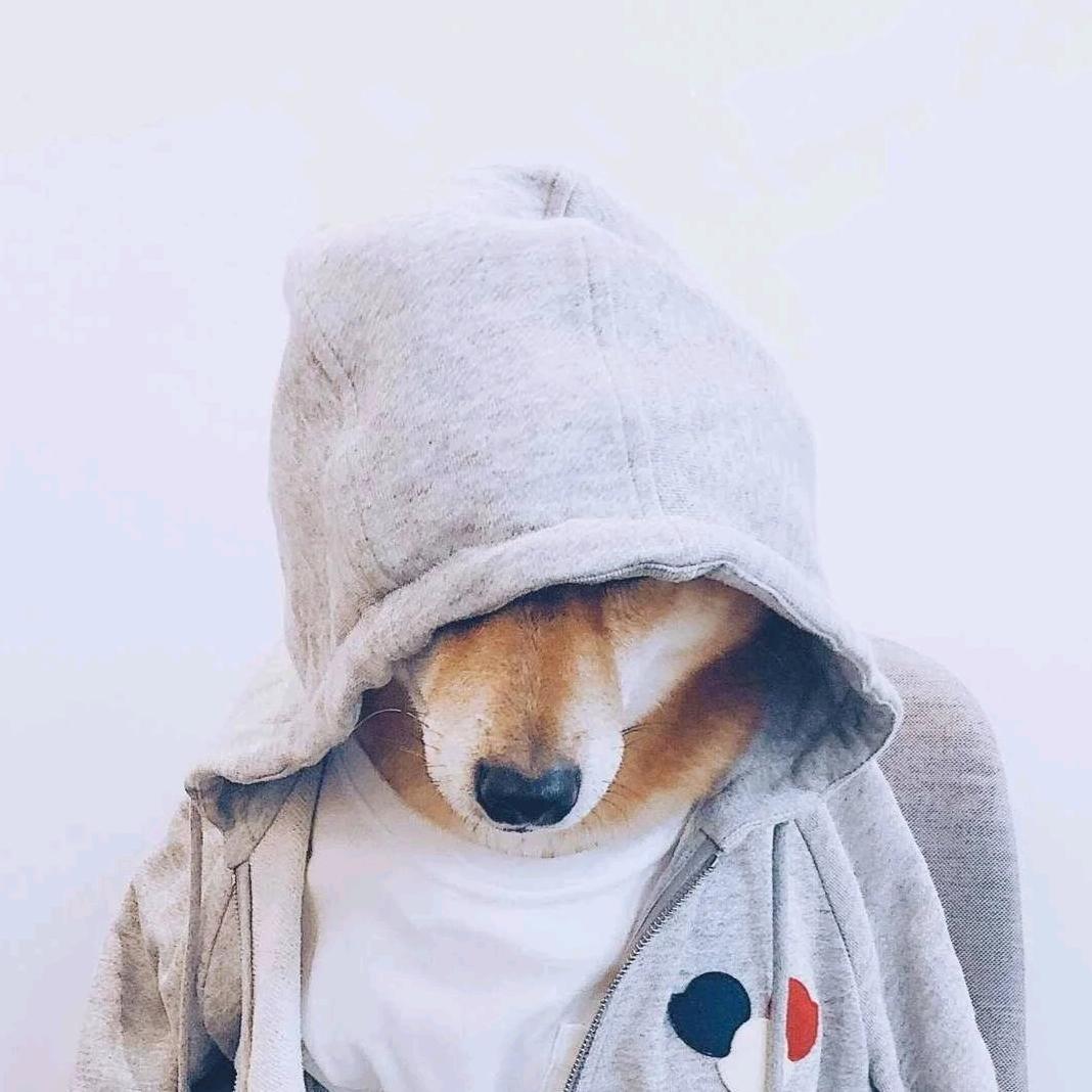 DaLuXi头像