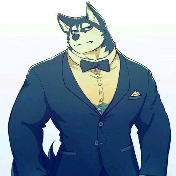 🌈🌈青岛润泽通汇棉业-甄