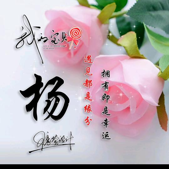 ℳঞ ꦿ杨 ໌້ᮨ꧔ꦿ᭄💕