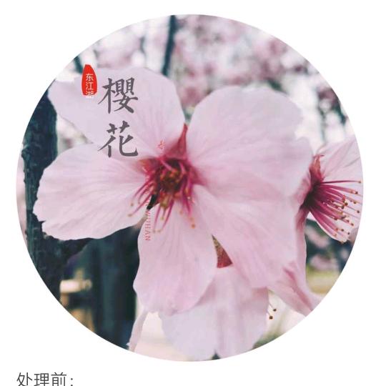 徒步旅行