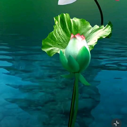 🍀好运💞加满