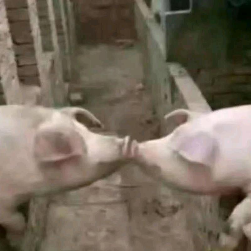 闭关修炼
