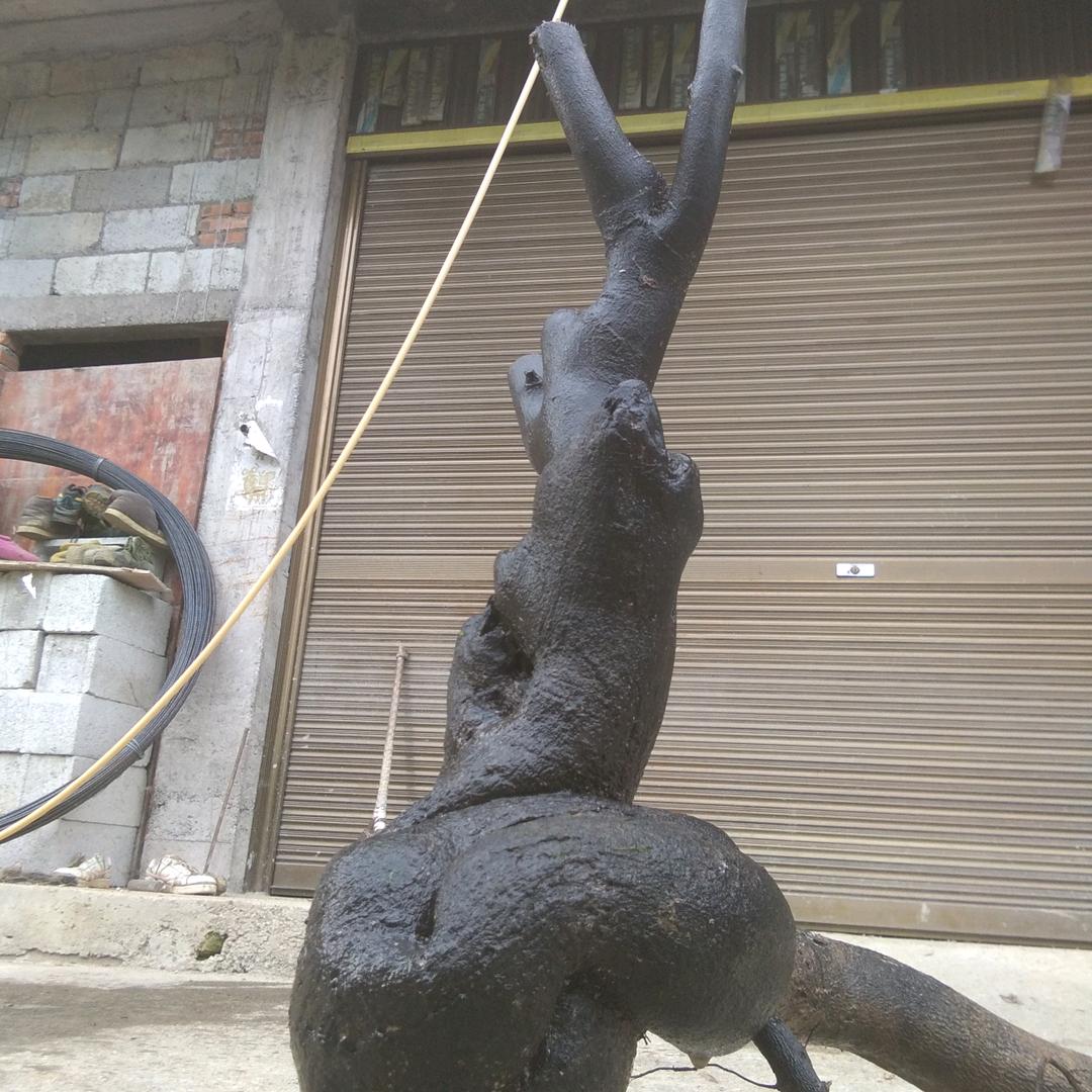 用户6272054471158