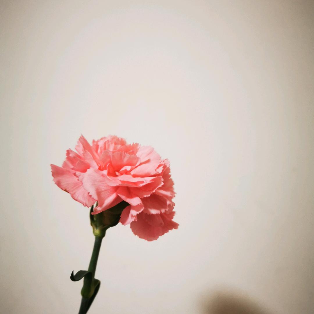 是阿波呀！