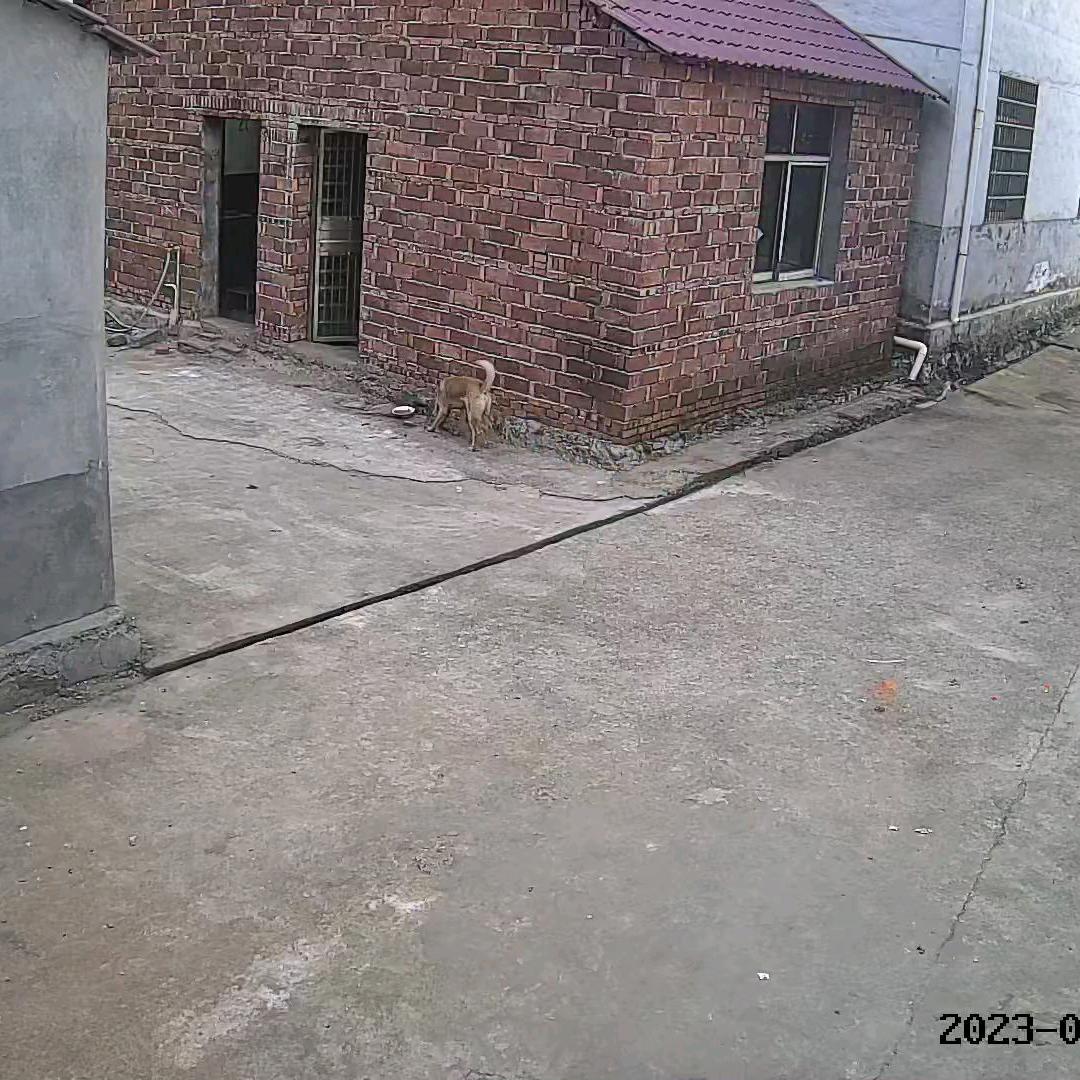 王根年
