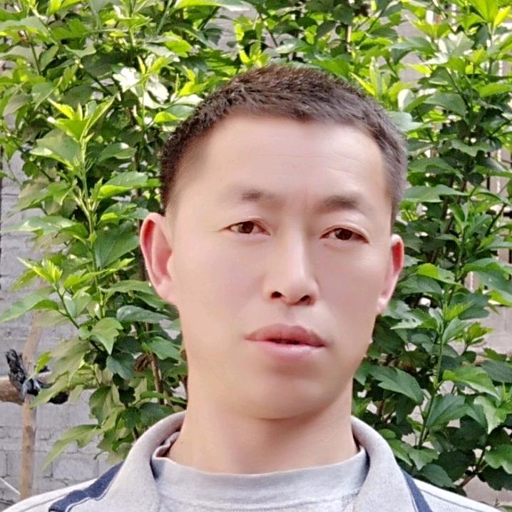小安全哥