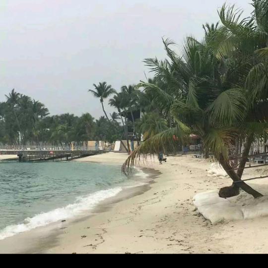宁静凡杰