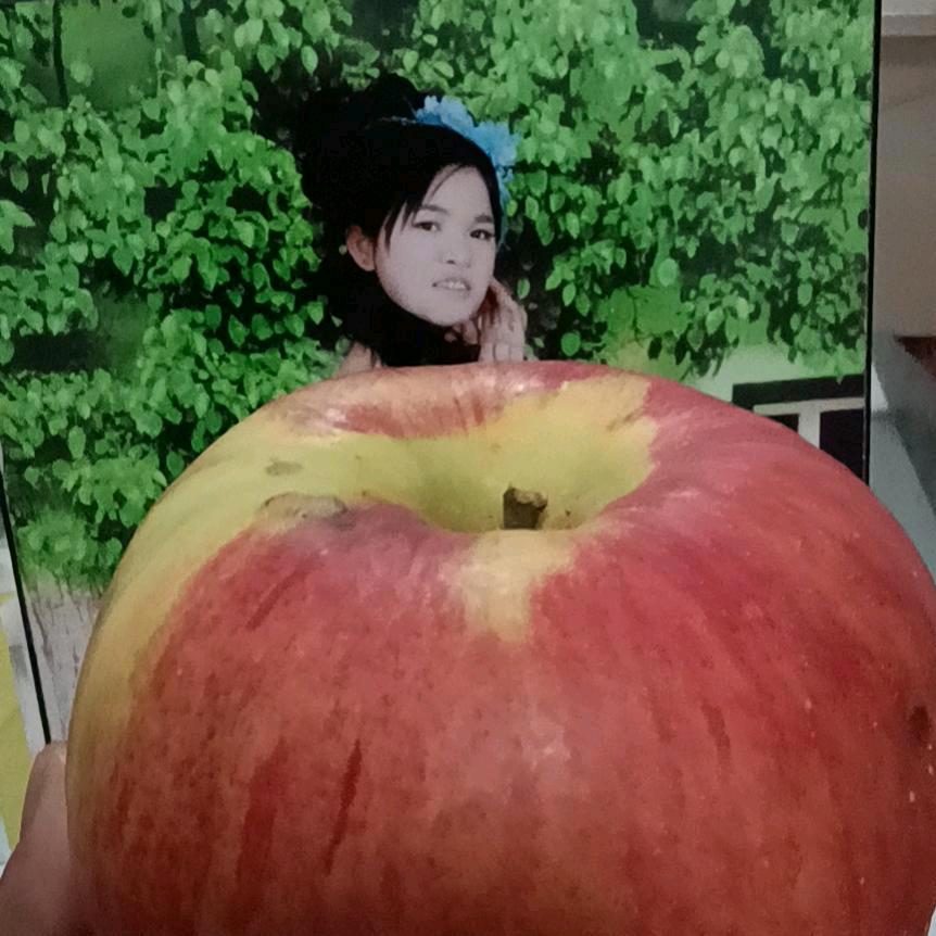 美好的明天会更好