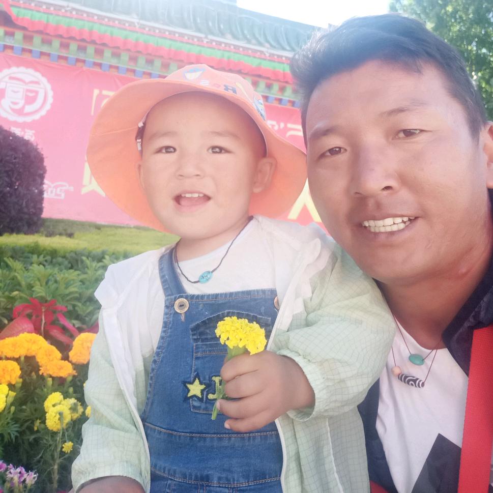西藏平安驾校