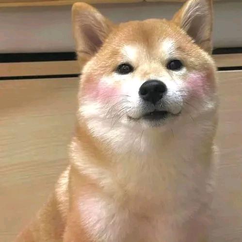 咸鸭蛋蛋der