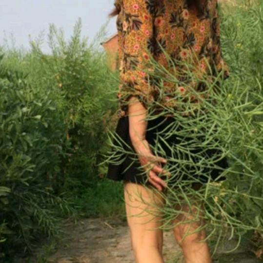 gao小美