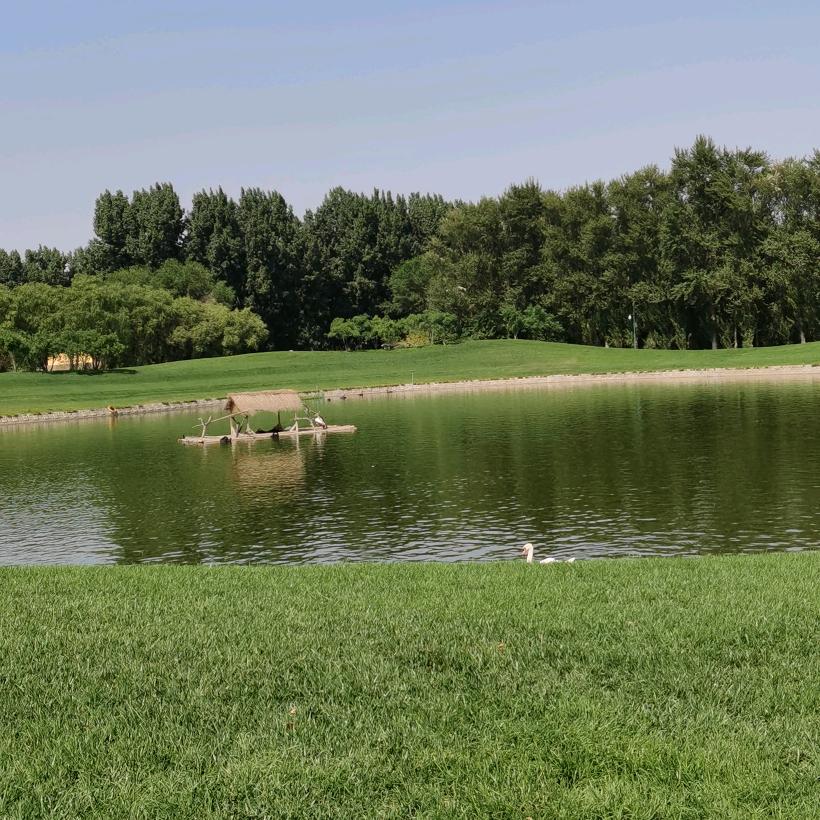 伊兰衣橱东市场