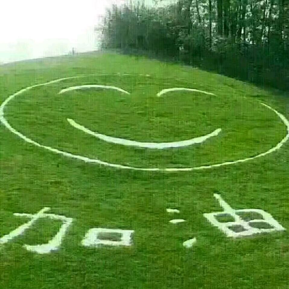 苍海