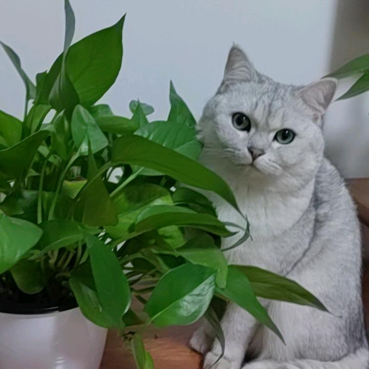 HRJ蓉
