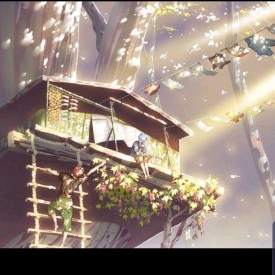 晨光如昨