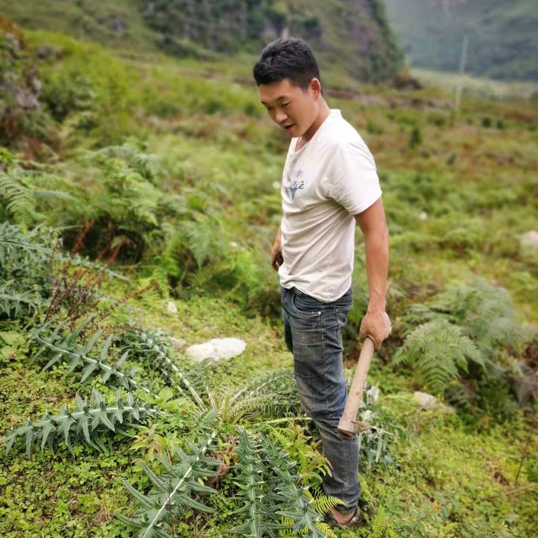 小方本草