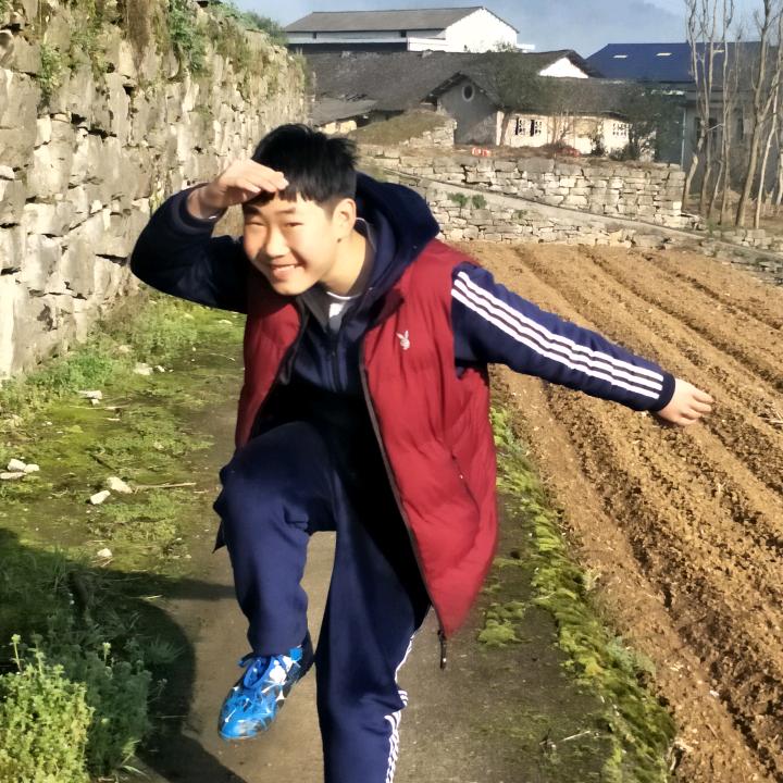 快乐的猫