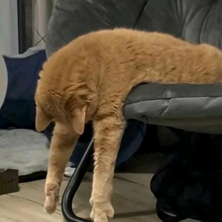 归云