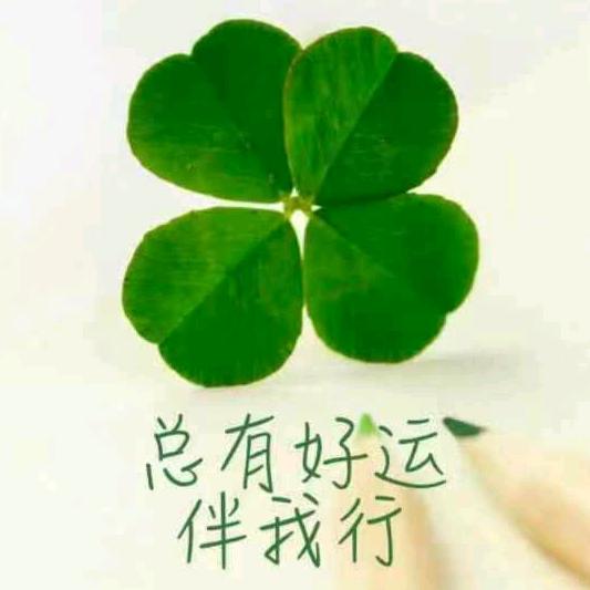 四叶草在哪里东哥