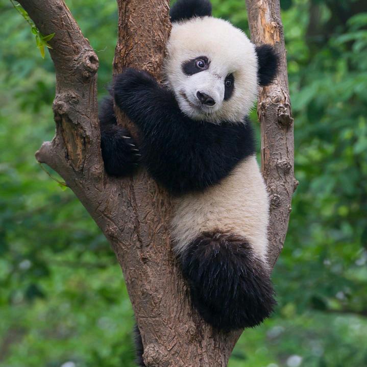 启航