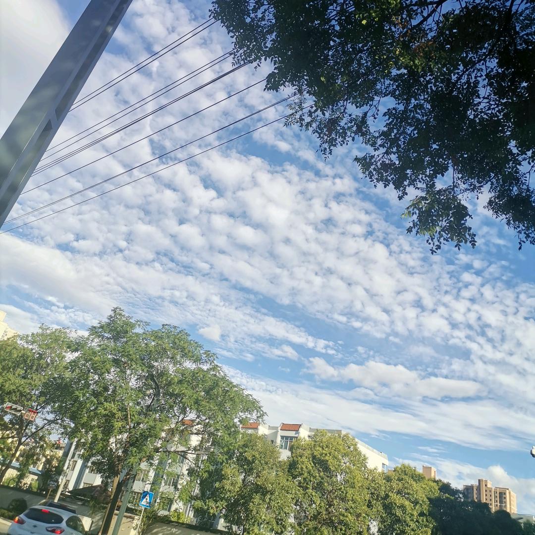 疯格