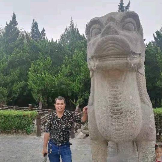 定远杨哥